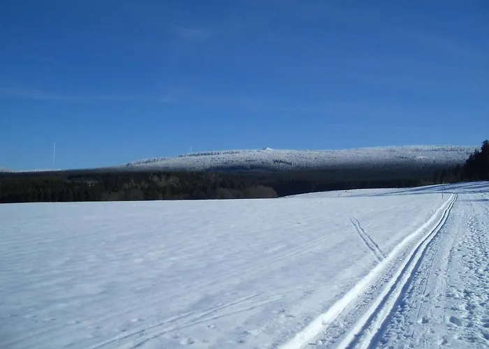 Monteurwohnung 6 Personen Daire Langelsheim